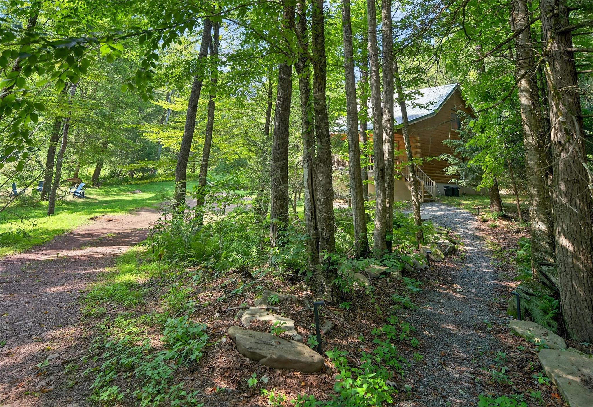353 John Davis Road Beach Lake, PA 18405 - Photo 42 of 50 a backyard of a house with lots of green space