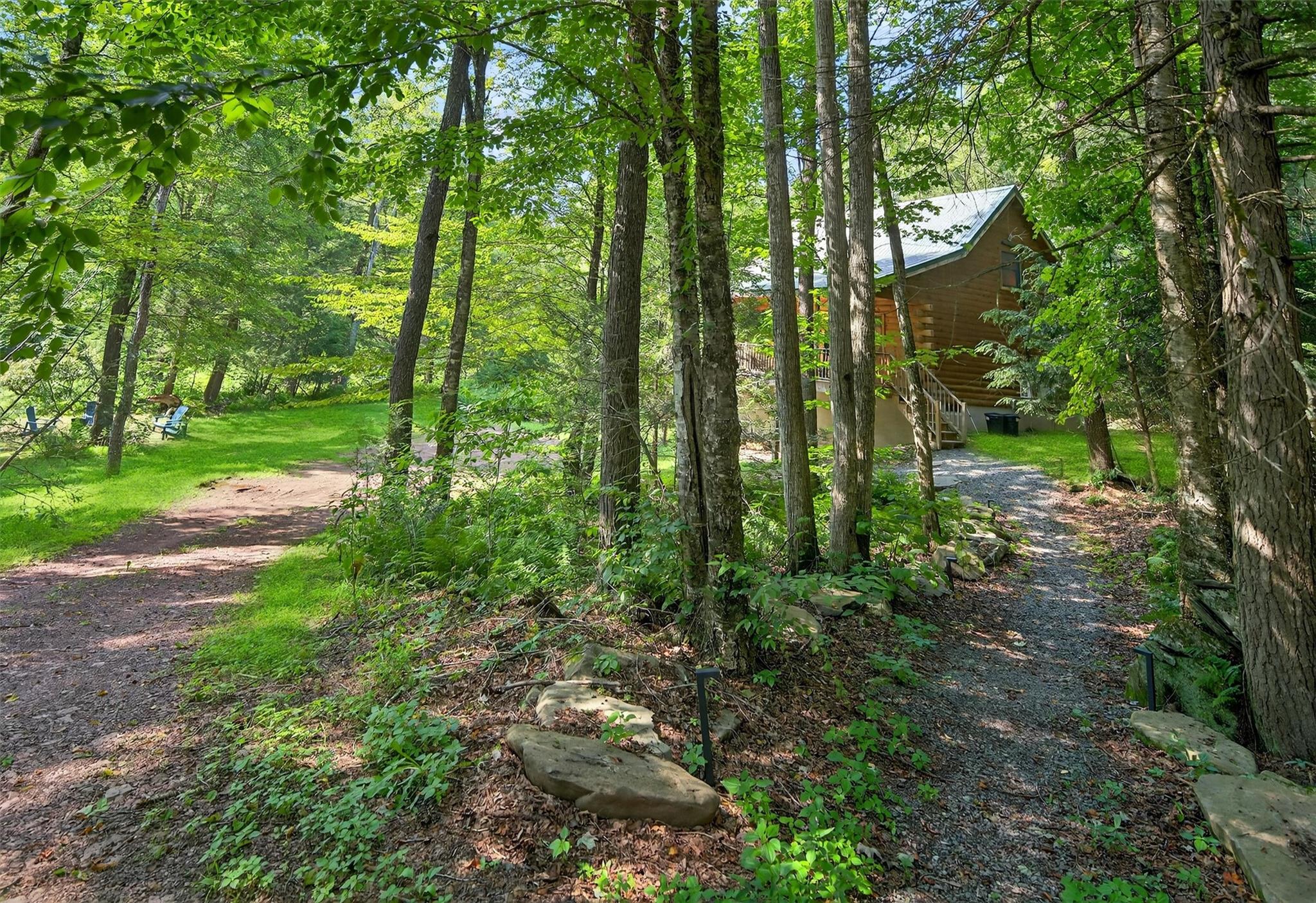 353 John Davis Road Beach Lake, PA 18405 - Photo 46 of 50 a view of a yard with plants and trees
