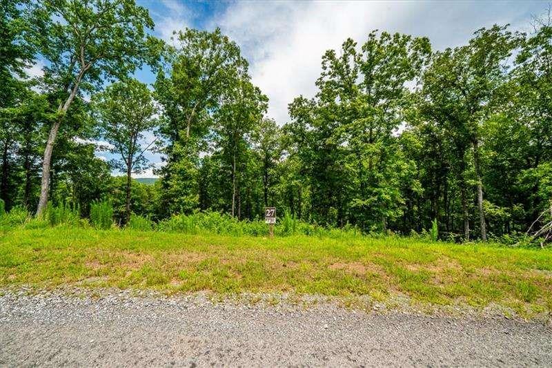 0 Ridge Drive Morganton, GA 30560 - Photo 2 of 15 a view of a grassy field with trees in the background