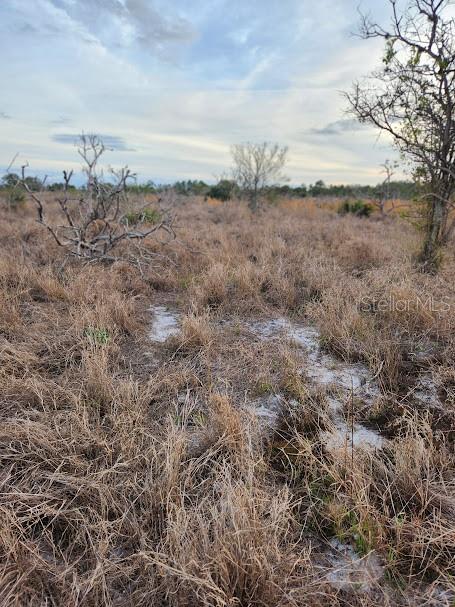 West Frostproof Road Frostproof, FL 33843 - Photo 21 of 29 a view of a dry yard with wooden fence