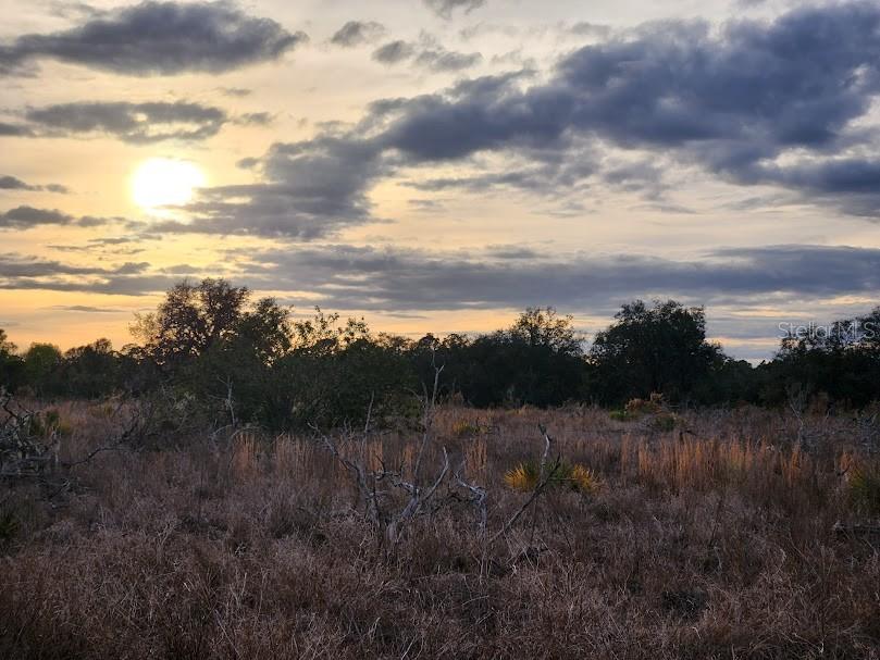 West Frostproof Road Frostproof, FL 33843 - Photo 23 of 29 a view of a lot of trees in a field