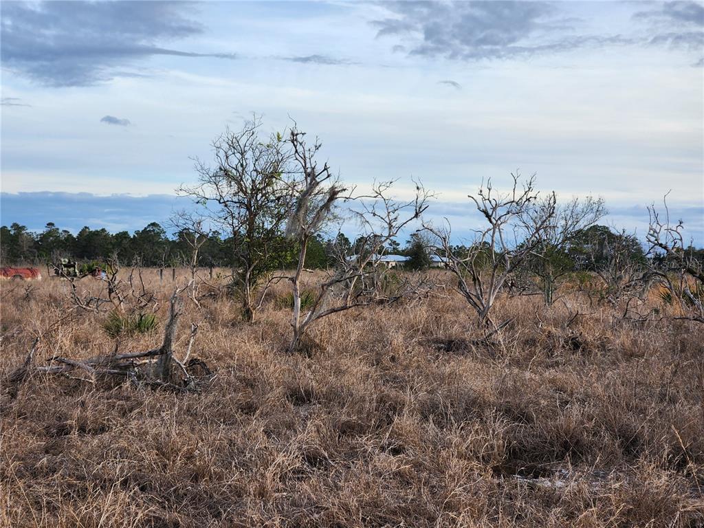 West Frostproof Road Frostproof, FL 33843 - Photo 25 of 29 a view of a dry yard with wooden fence