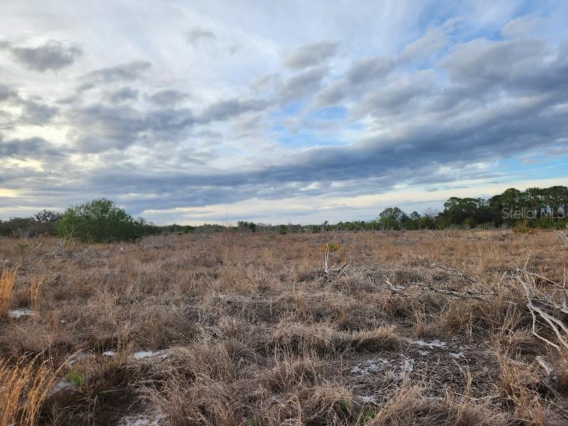 West Frostproof Road Frostproof, FL 33843 - Photo 26 of 29 a view of a lake next to a large trees
