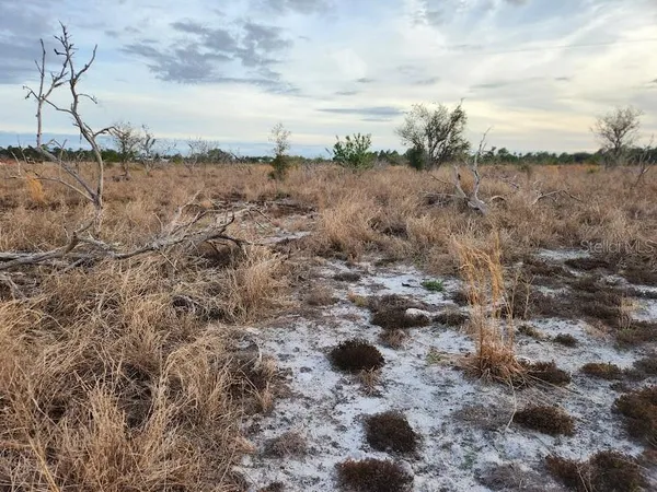 a view of a field of grass and trees