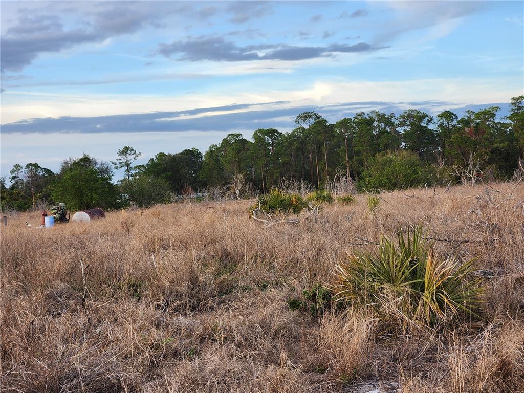West Frostproof Road Frostproof, FL 33843 - Photo 28 of 29 a view of a lake with a forest