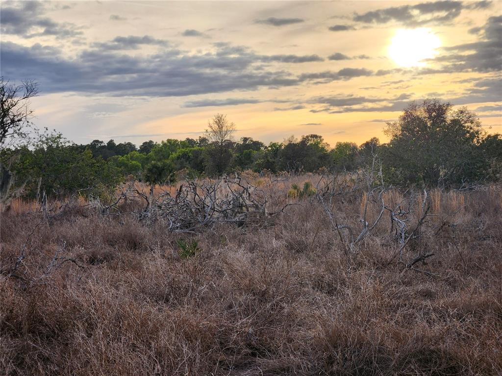 West Frostproof Road Frostproof, FL 33843 - Photo 29 of 29 a view of a field of grass and trees