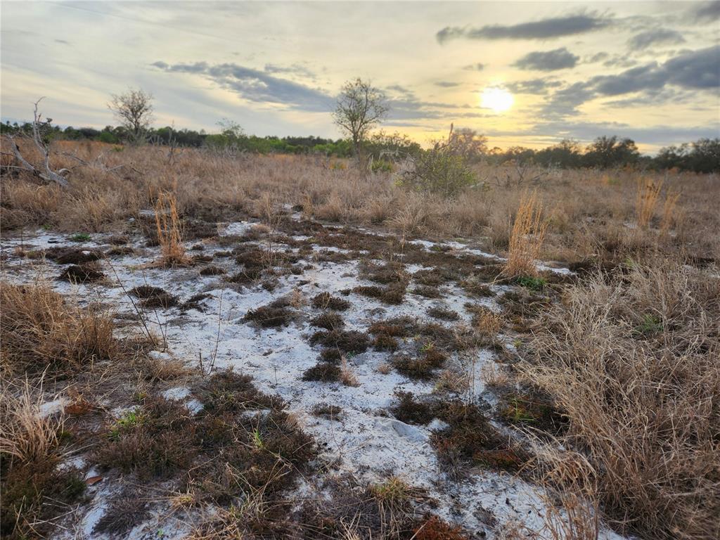 West Frostproof Road Frostproof, FL 33843 - Photo 4 of 29