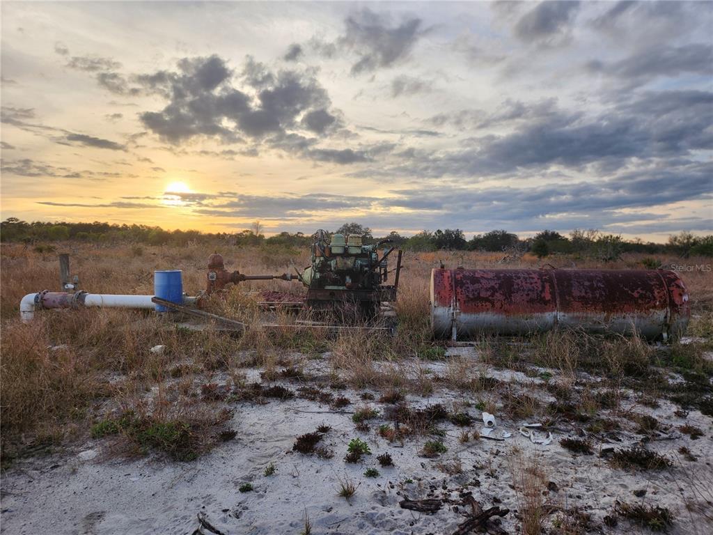 West Frostproof Road Frostproof, FL 33843 - Photo 5 of 29 a view of a dry yard with trees