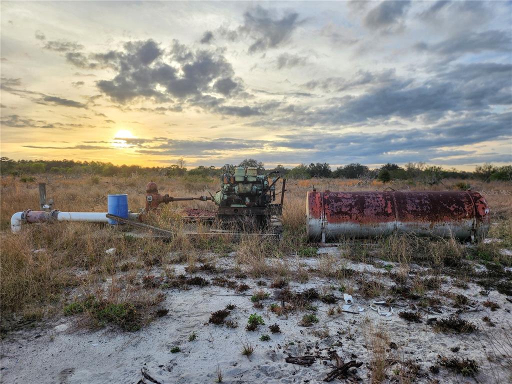 West Frostproof Road Frostproof, FL 33843 - Photo 6 of 29 a view of a dry yard with trees