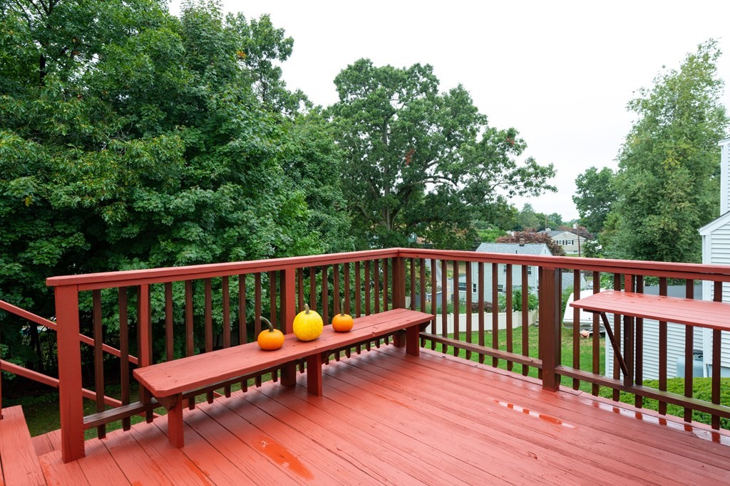 12 Elizabeth Road Stoneham, MA 02180 - Photo 29 of 37 Gallery Image 29