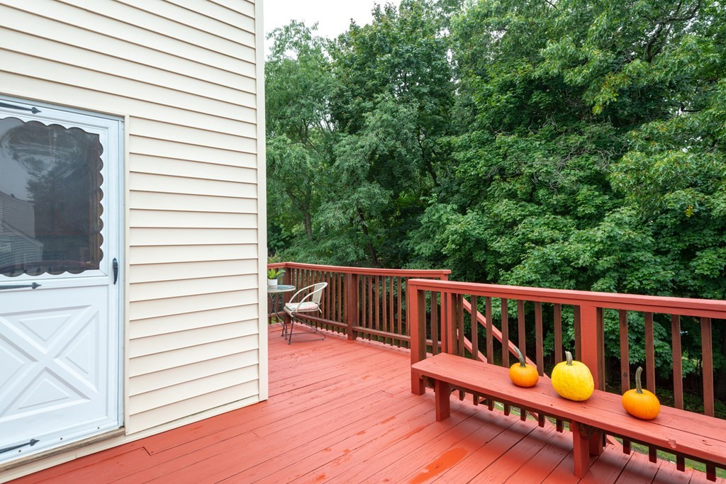 12 Elizabeth Road Stoneham, MA 02180 - Photo 30 of 37 Gallery Image 30