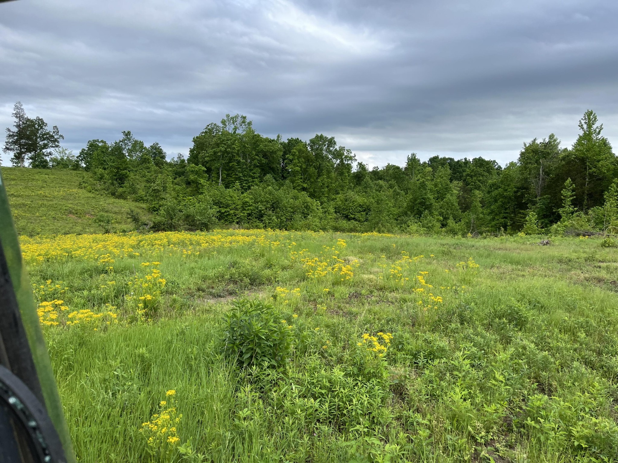 169 County Road 188 Decatur, TN 37322 - Photo 4 of 24