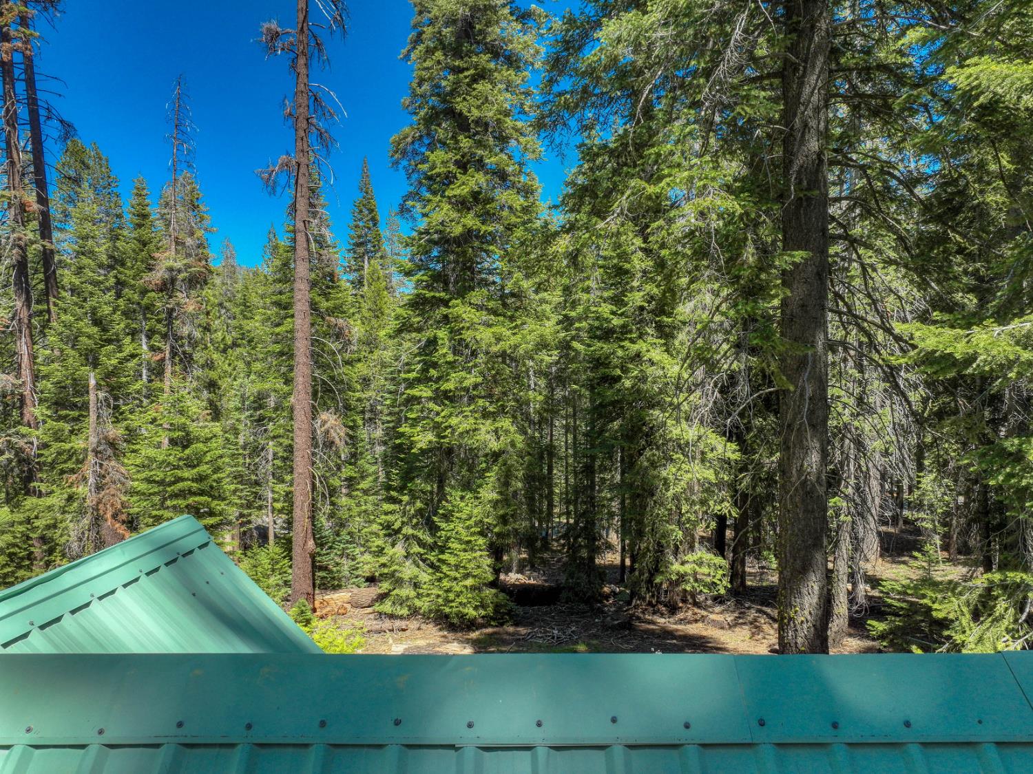 61504 Huntington Lake Road, Unit 6 Mono Hot Springs, CA 93642 - Photo 41 of 49