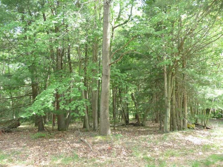Wilson Rd Spring Lake Spring Lake, MI 49456 - Photo 1 of 17 Primary Photo