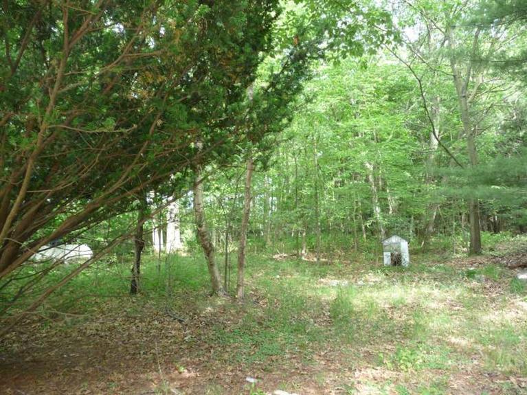 Wilson Rd Spring Lake Spring Lake, MI 49456 - Photo 4 of 17 Additional Photo