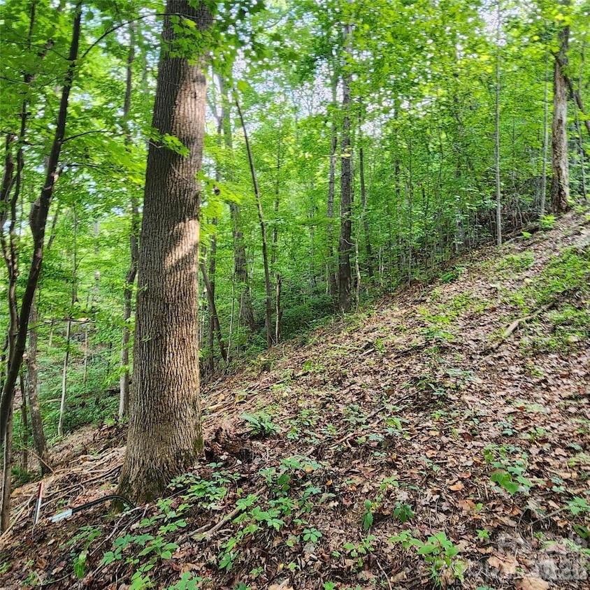 0 Switchback Road Lake Lure, NC 28746 - Photo 2 of 4 a big yard with lots of green space and trees