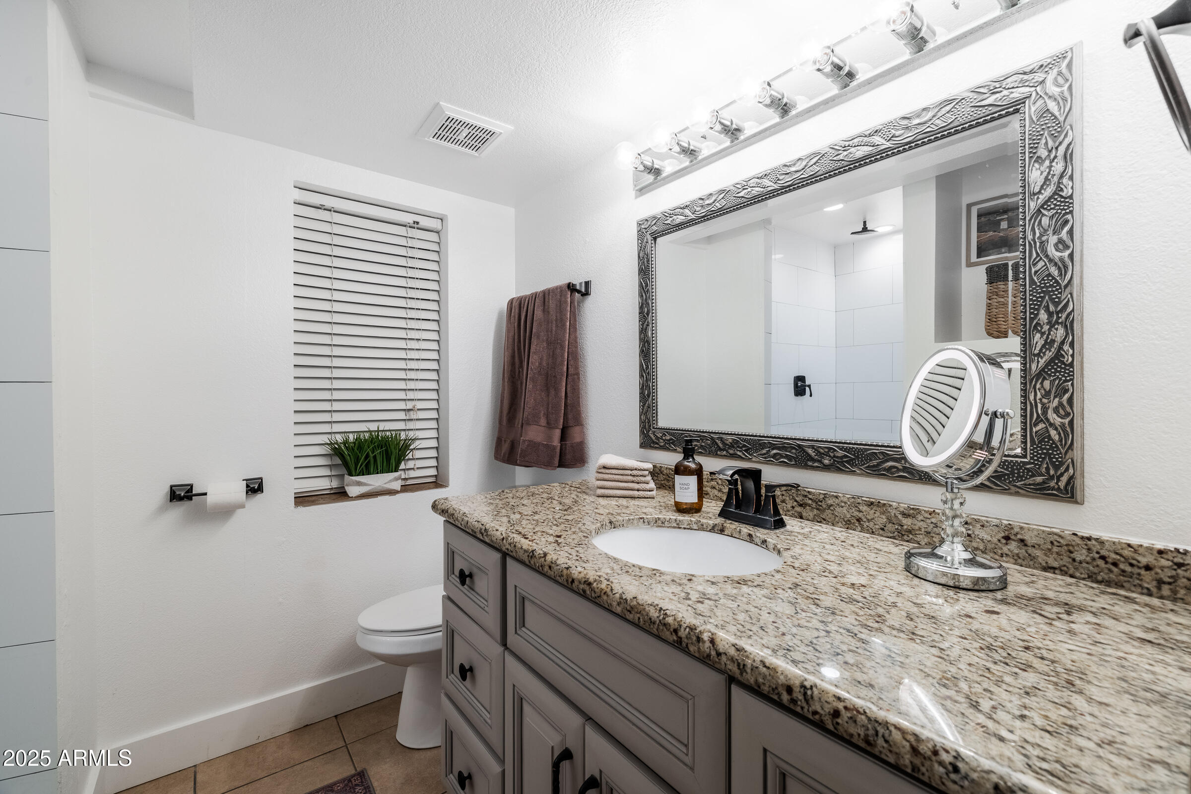 6835 East Peak View Road Scottsdale, AZ 85266 - Photo 69 of 107 basement bath