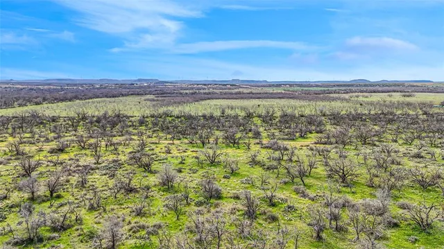 a view of a city with lush green forest