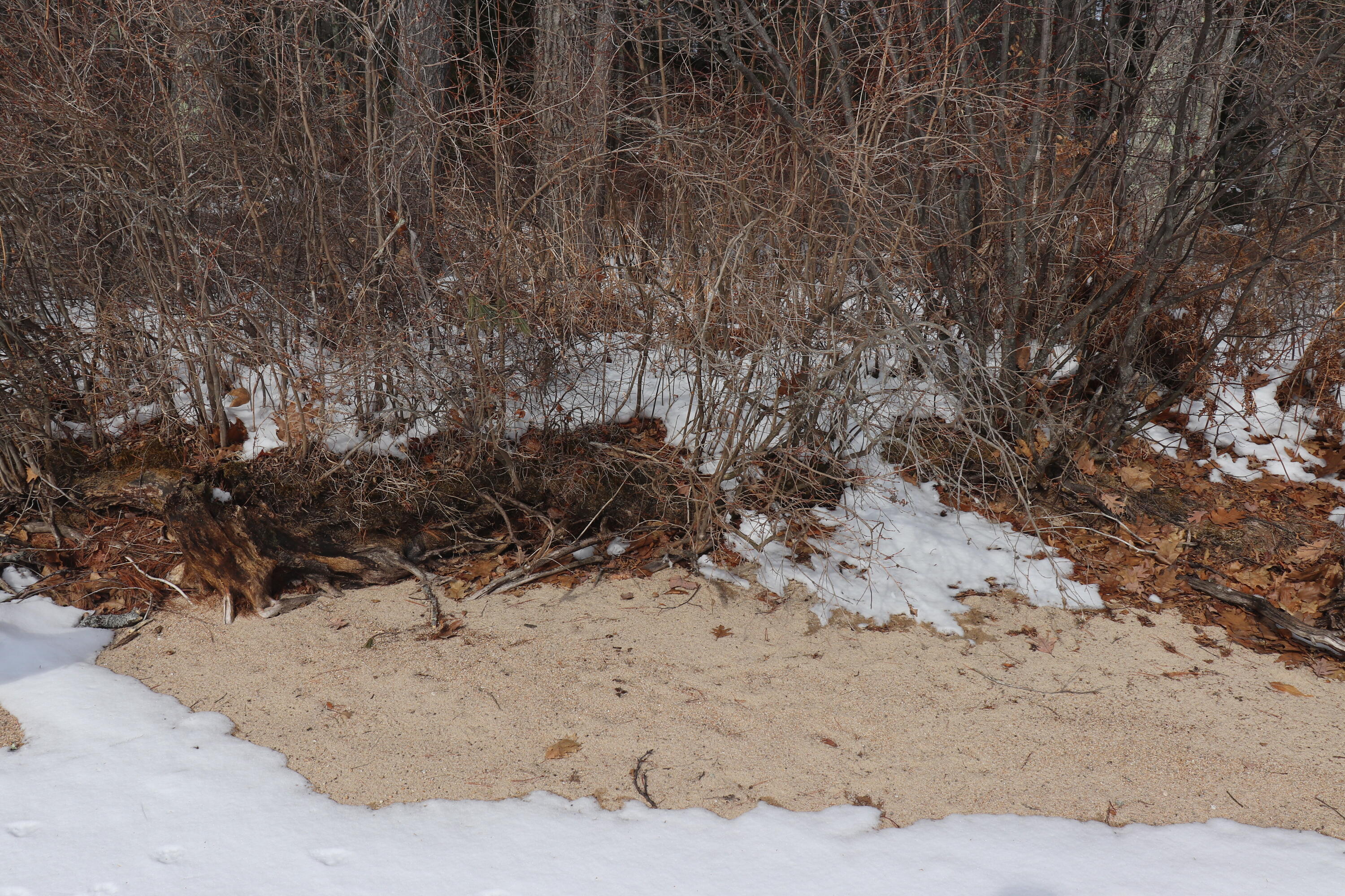 Tbd Steamboat Landing Road Naples, ME 04055 - Photo 16 of 20 Sandy beach bottom