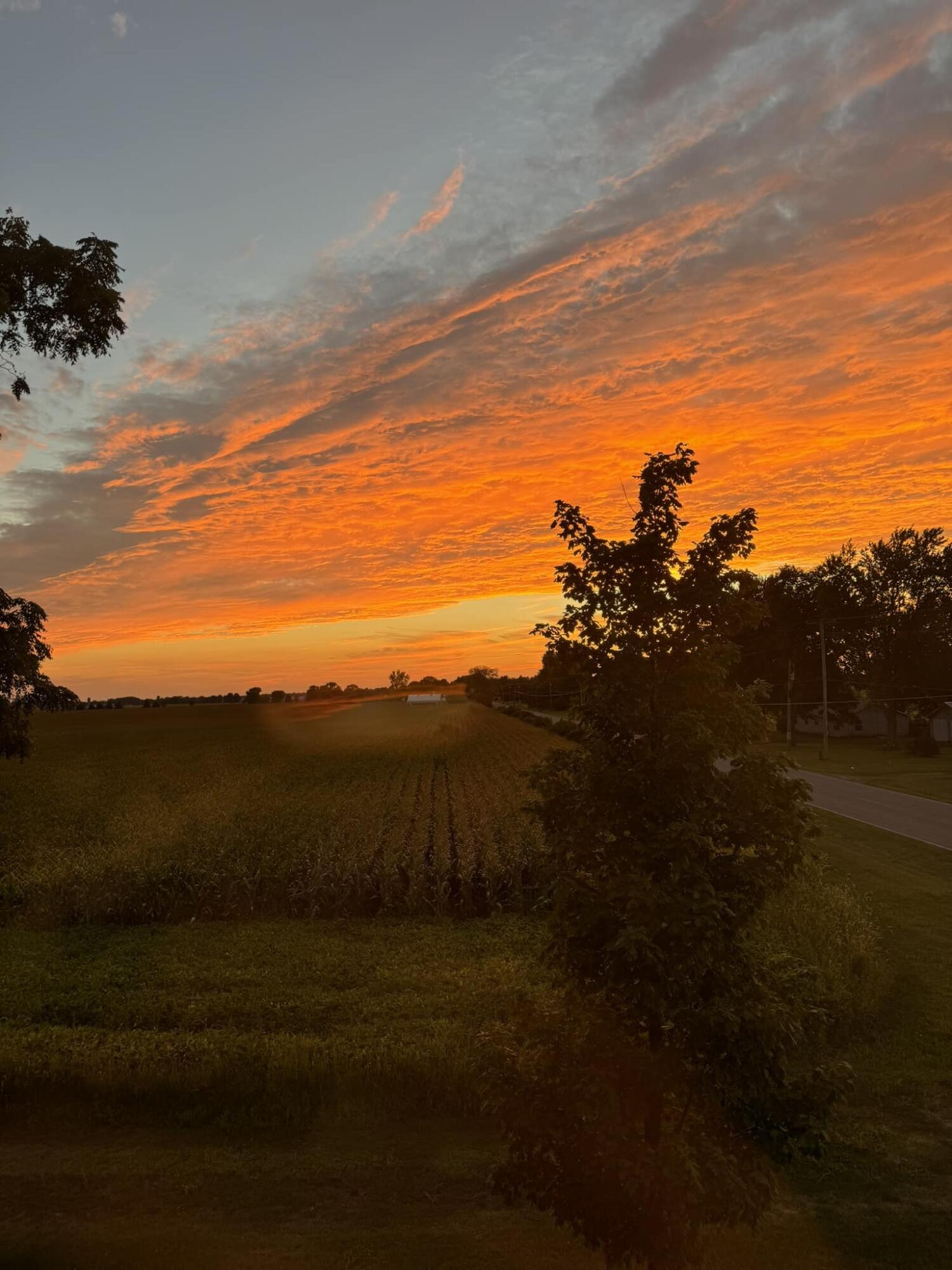 15501 Indian Prairie Road White Pigeon, MI 49099 - Photo 86 of 116 495953123_10101135111022414_151376245983