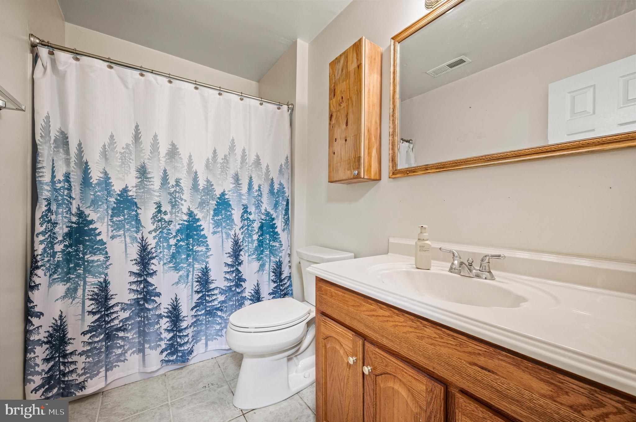 875 Valley Mill Road Winchester, VA 22602 - Photo 32 of 48 lower level full bath