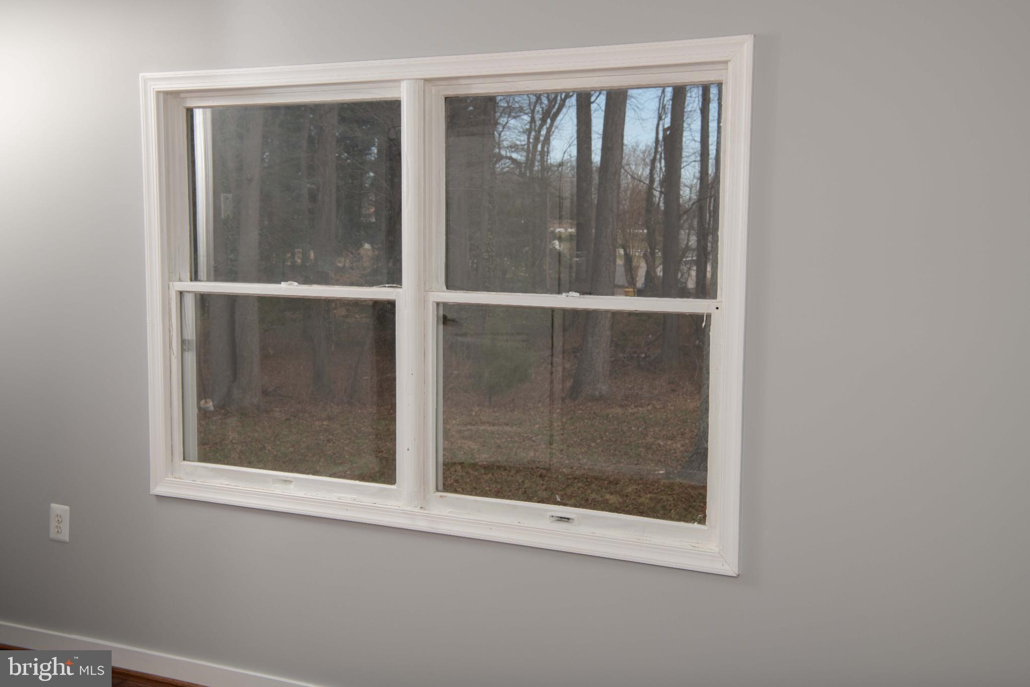 4785 Mountain Road Pasadena, MD 21122 - Photo 26 of 30 Bright window framing serene woodland views.