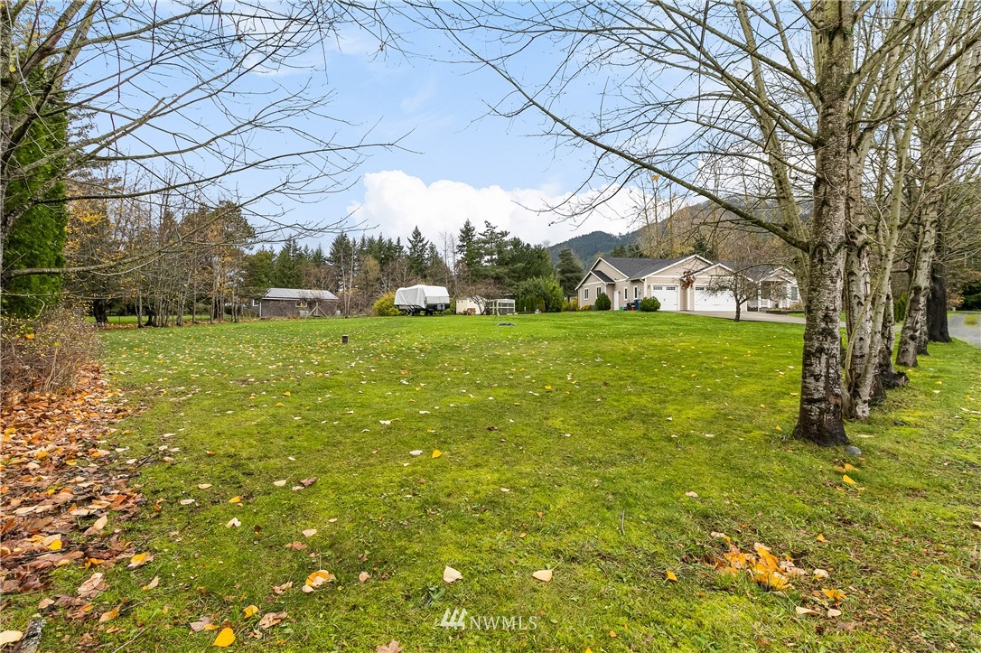 6800 Goodwin Road Everson, WA 98247 - Photo 3 of 40 a view of a field with a tree