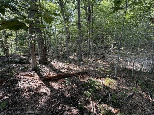 0 Zoar Road Rowe, MA 01367 - Photo 7 of 25 Gallery Image 7