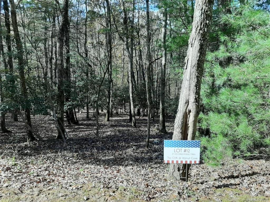 37 Dividing Ridge Trail Arden, NC 28704 - Photo 5 of 5 Gallery Image 5