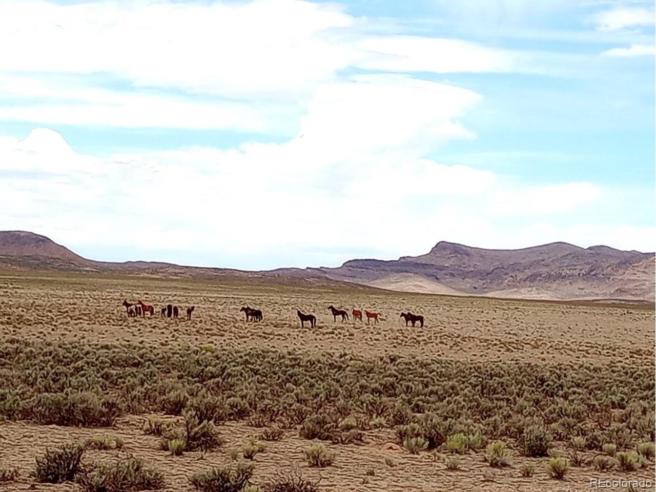 40 County Road Sanford, CO 81151 - Photo 14 of 19 wild horses on property