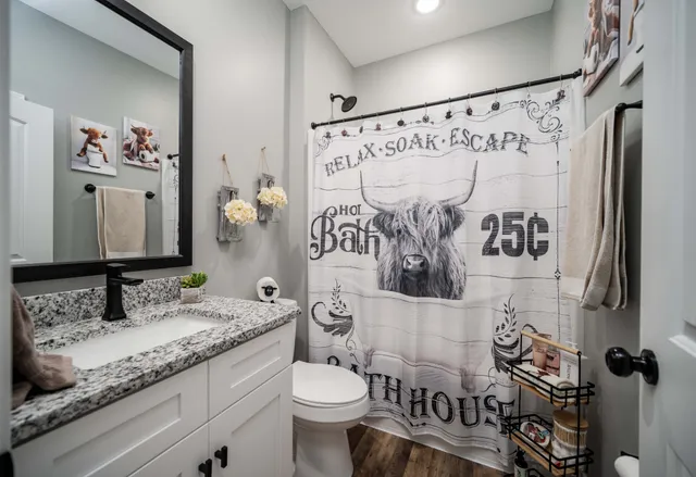 a bathroom with a granite countertop sink and a mirror