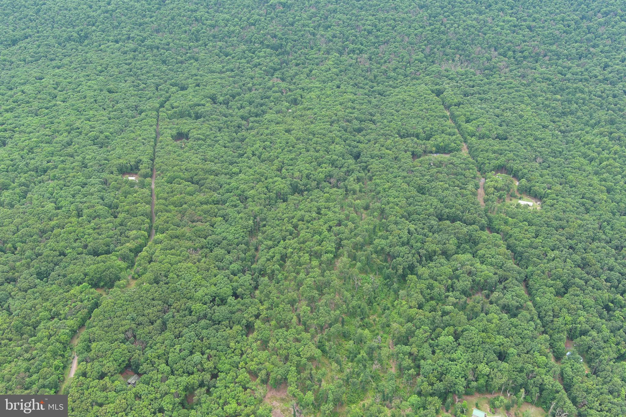 1419 Paul's Woods Road Delray, WV 26714 - Photo 95 of 105
