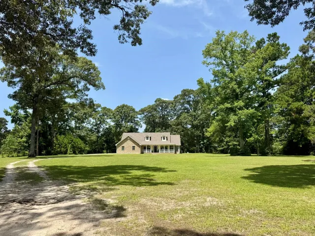 a view of a field with a trees