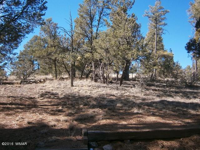 2902 Lodgepole Road Overgaard, AZ 85933 - Photo 22 of 22