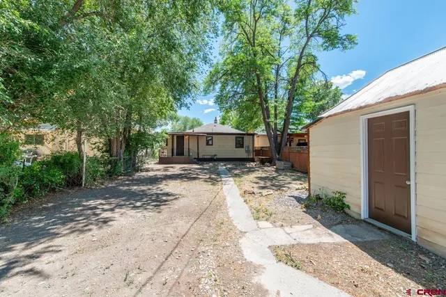 a view of a backyard with a large tree