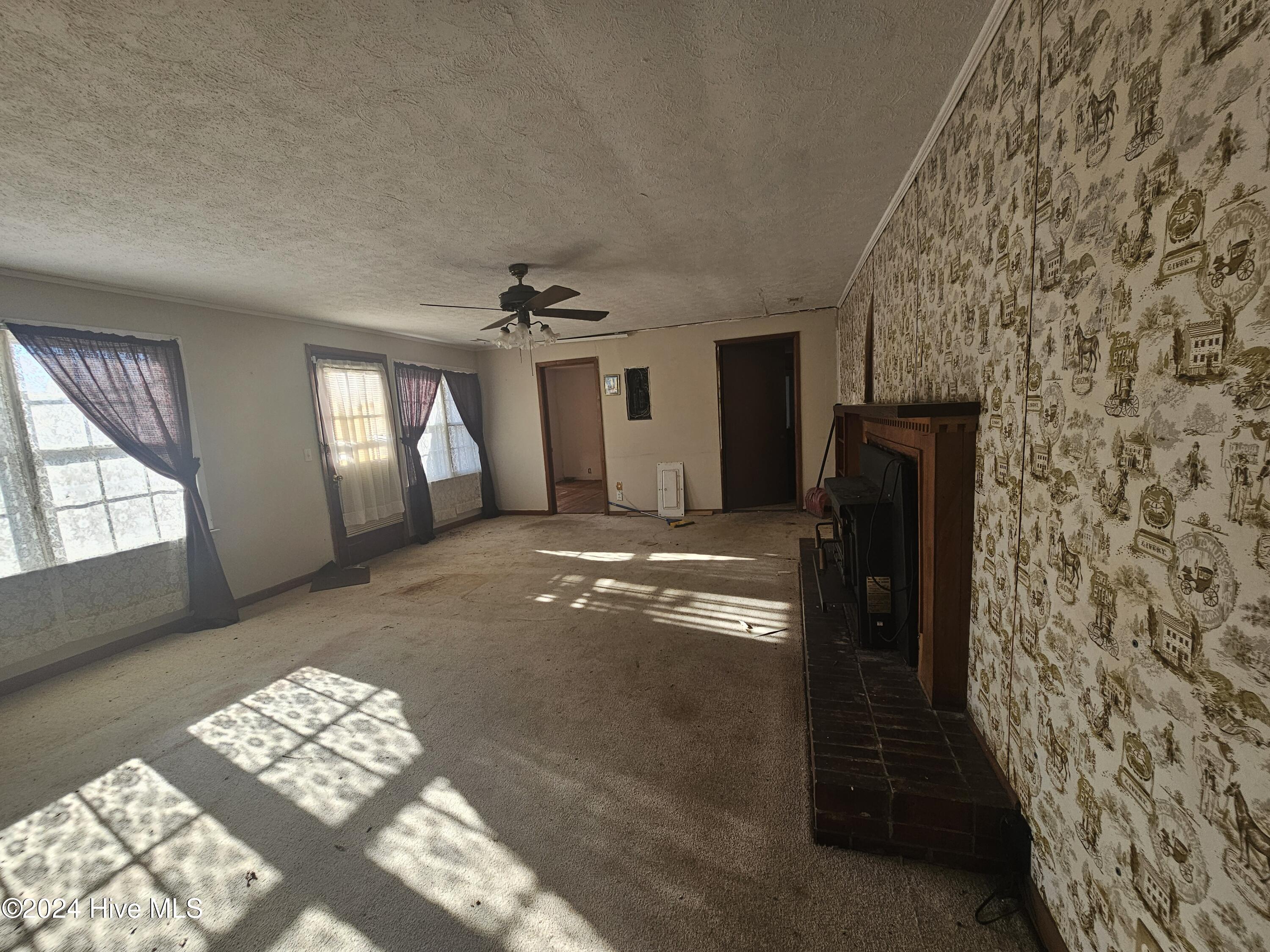 3800 Willard Road Willard, NC 28478 - Photo 14 of 29 20241217_141918