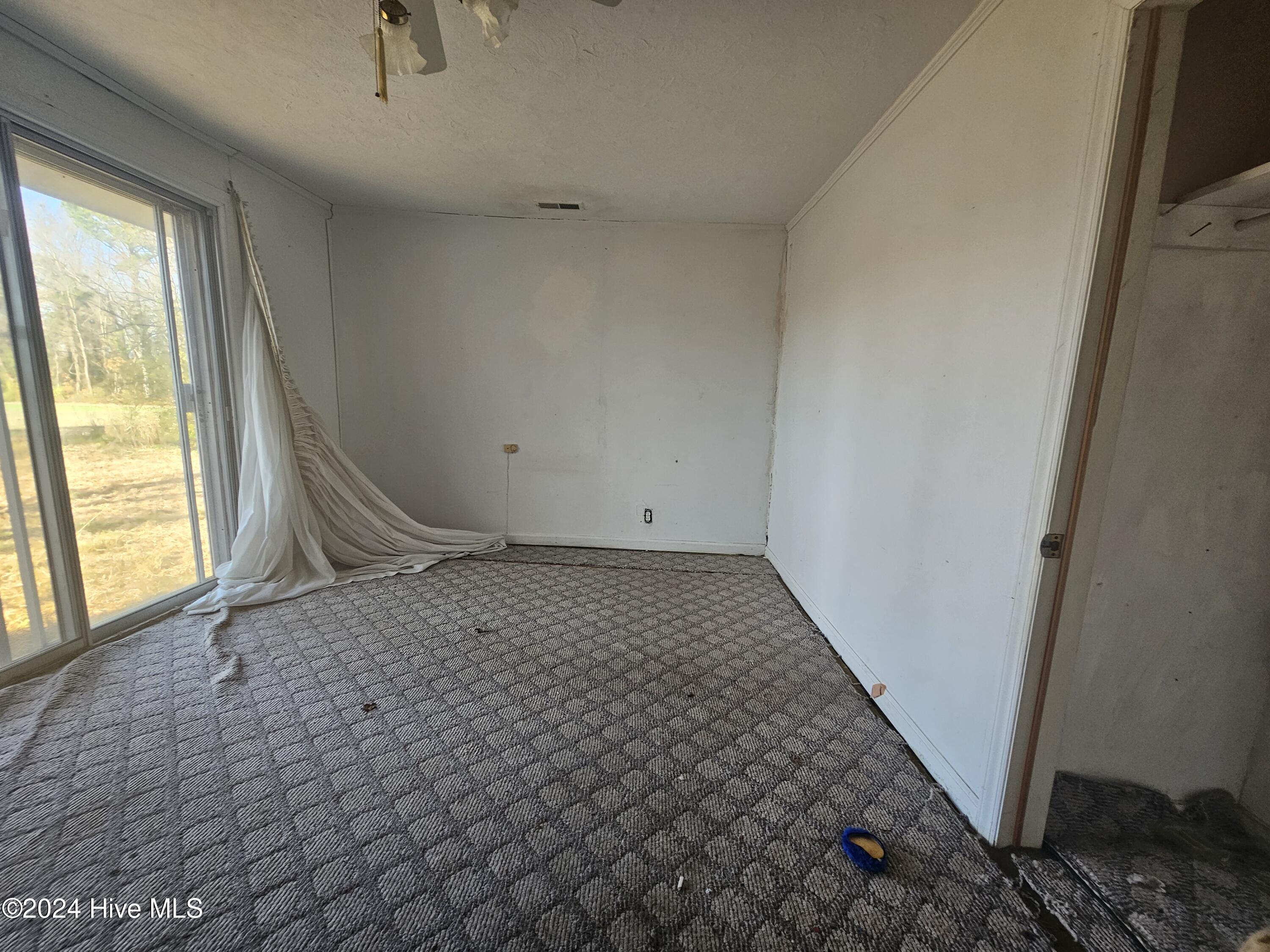 3800 Willard Road Willard, NC 28478 - Photo 7 of 29 20241217_142132