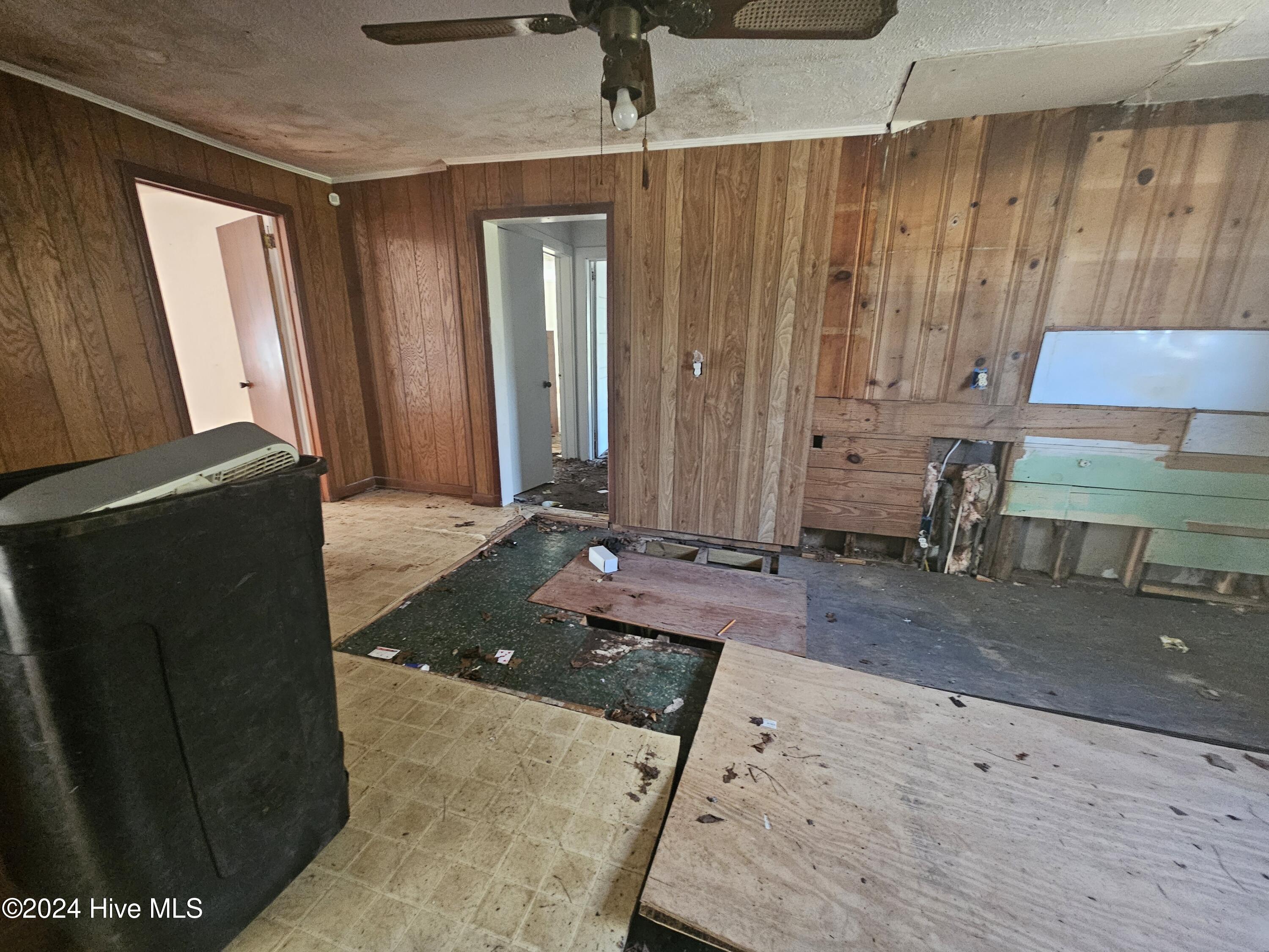 3800 Willard Road Willard, NC 28478 - Photo 9 of 29 20241217_142032