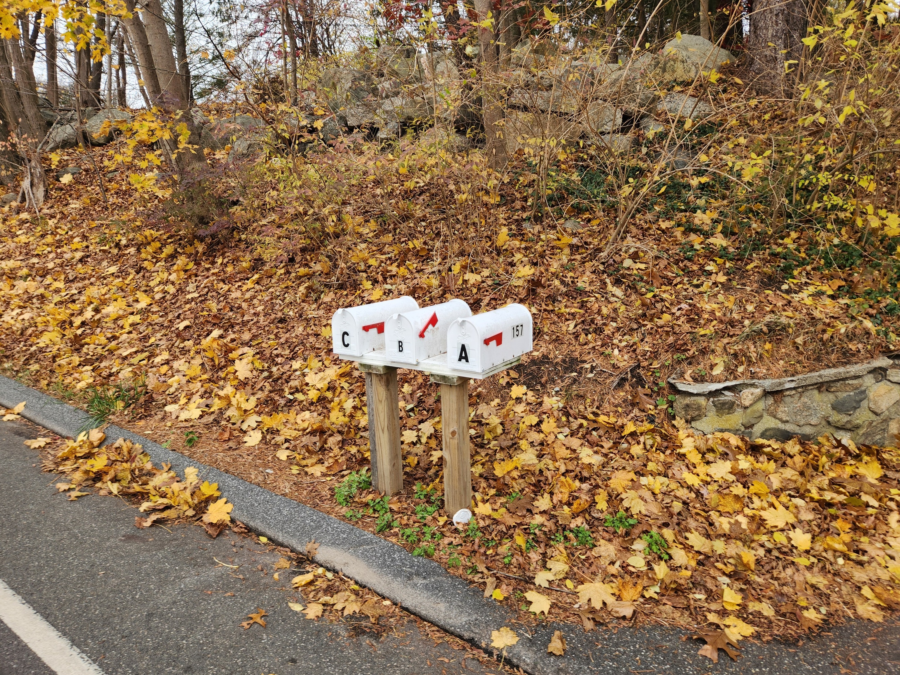 157 Ball Pond Road, Unit C New Fairfield, CT 06812 - Photo 28 of 31