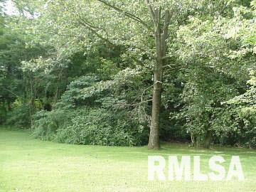548 Old Joppa Road Metropolis, IL 62960 - Photo 6 of 13