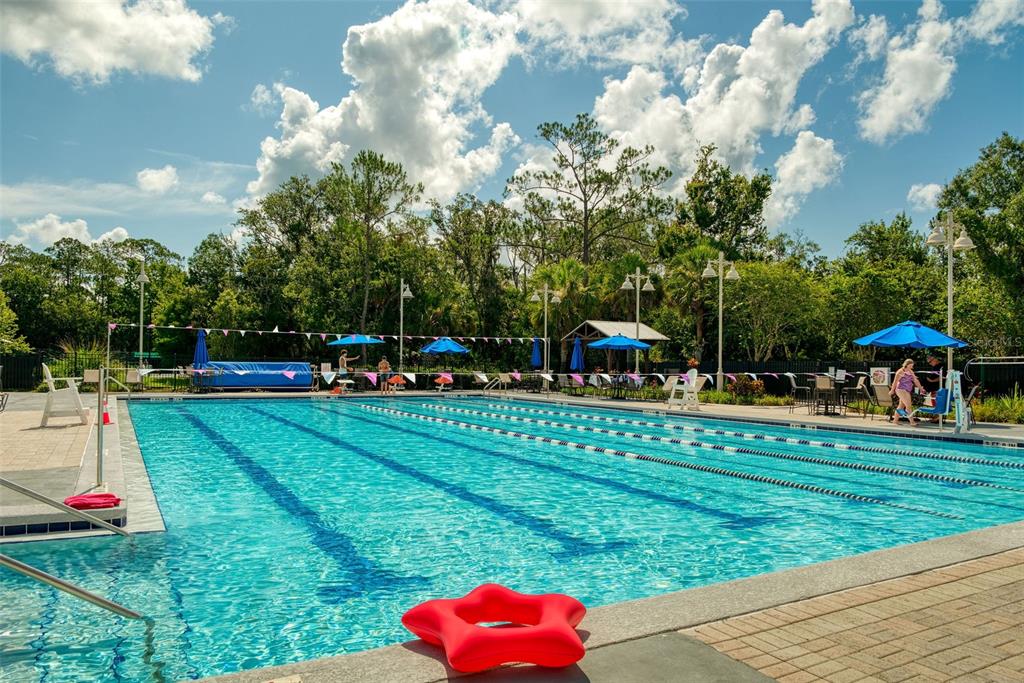 512 Water Street, Unit 512 Celebration, FL 34747 - Photo 42 of 46 a view of a park with large trees