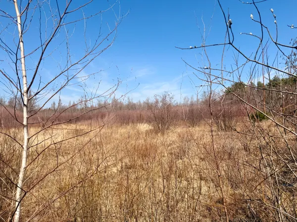$110,000 | Lot 56 Bailey Road, Knox, ME 04986