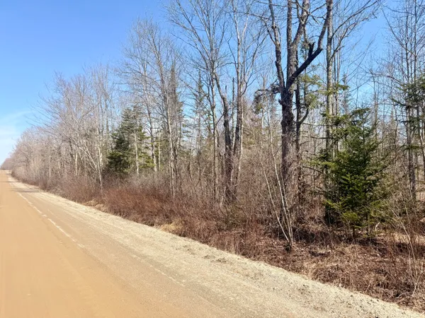 $110,000 | Lot 56 Bailey Road, Knox, ME 04986