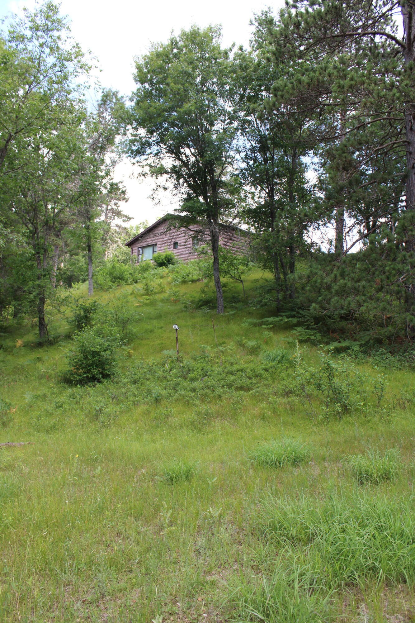 3320 Mapes Road Mio, MI 48647 - Photo 48 of 102 IMG_4616