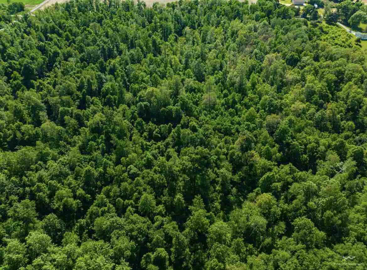 14 14 Mile Road Coldwater, MI 49036 - Photo 13 of 15