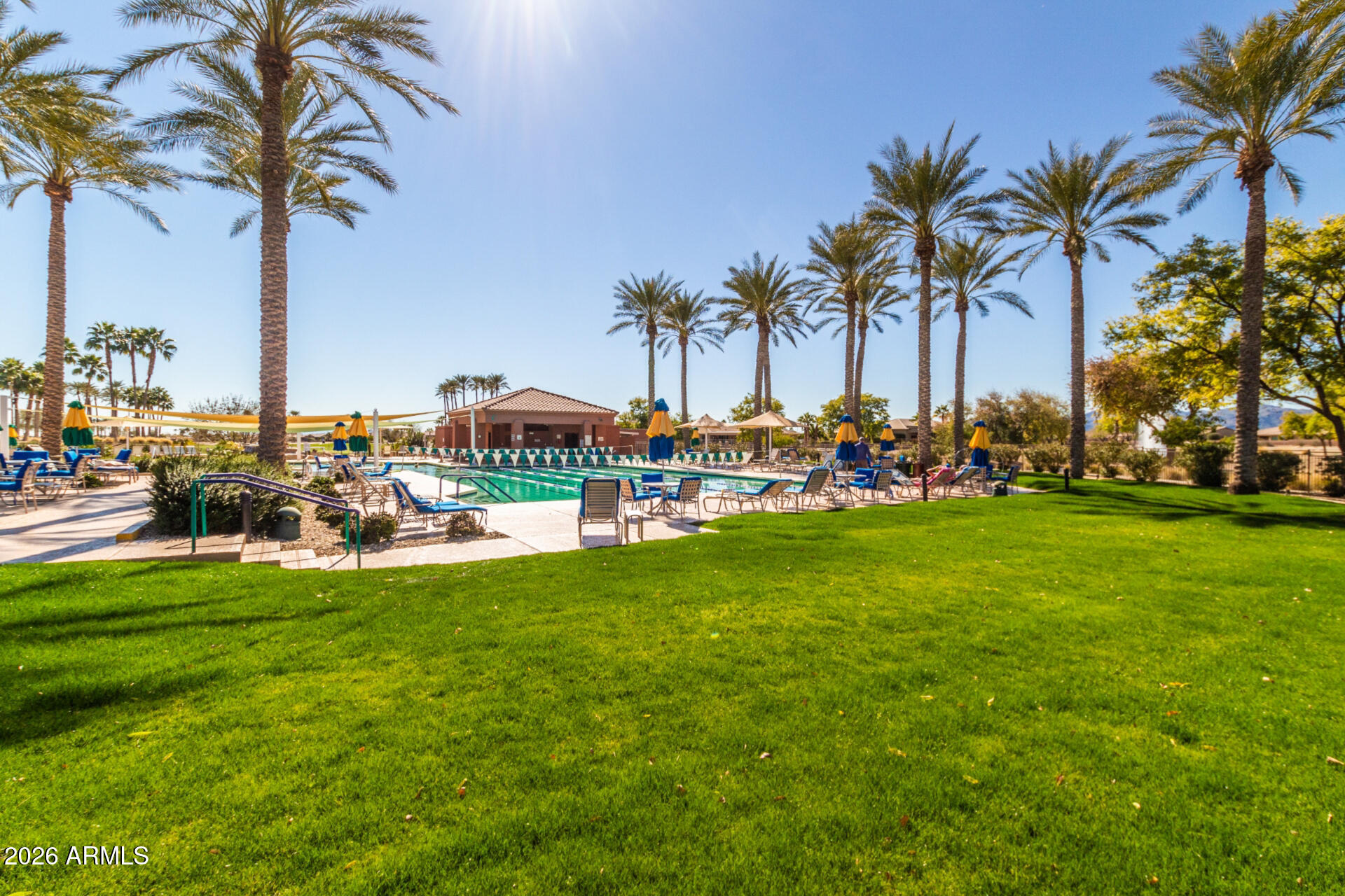 16731 West Oracle Rim Drive Surprise, AZ 85387 - Photo 33 of 54 a view of a park with palm trees