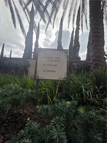 a view of a park with large trees