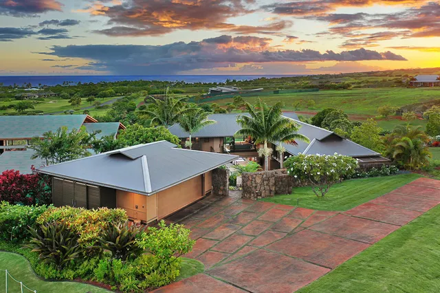 a view of a yard with plants