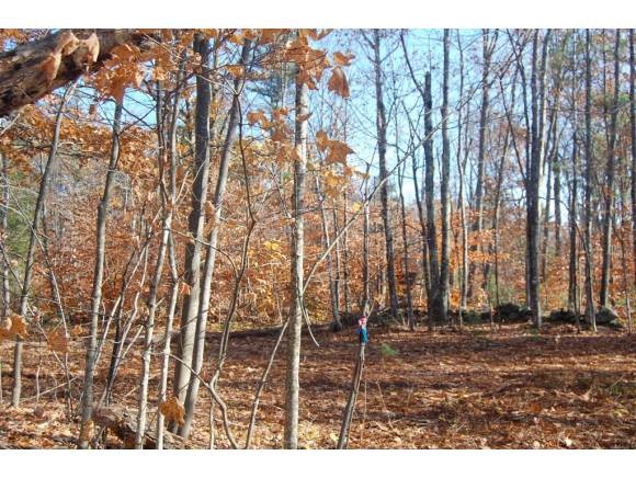 2 Sawyer Lake Road Gilmanton, NH 03237 - Photo 1 of 1 Gallery Image 1
