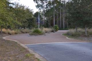 33 Shallow Reed Drive Port St. Joe, FL 32456 - Photo 3 of 5 Gallery Image 3